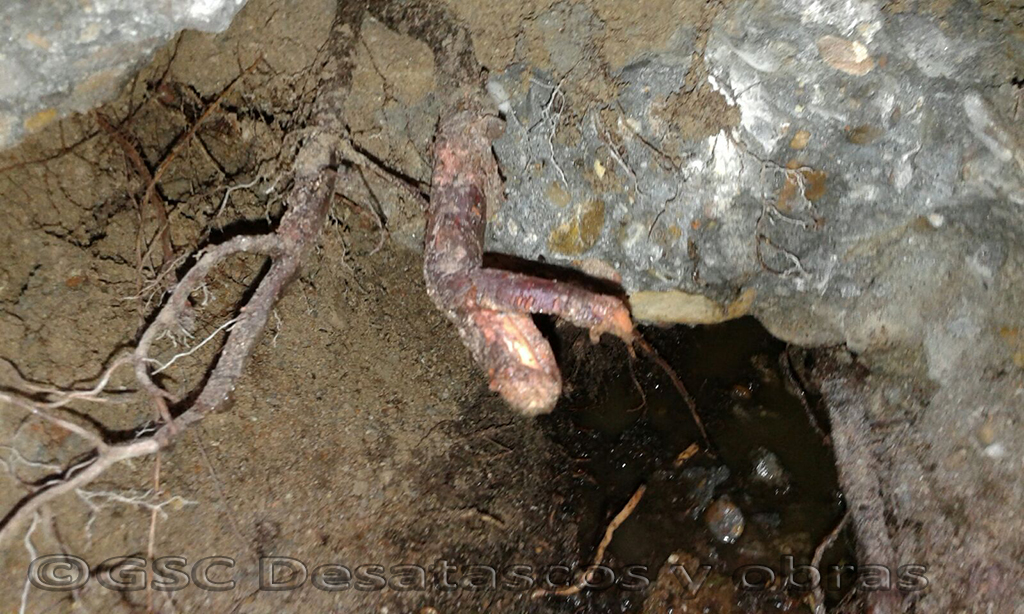 atascos en tuberías por raíces